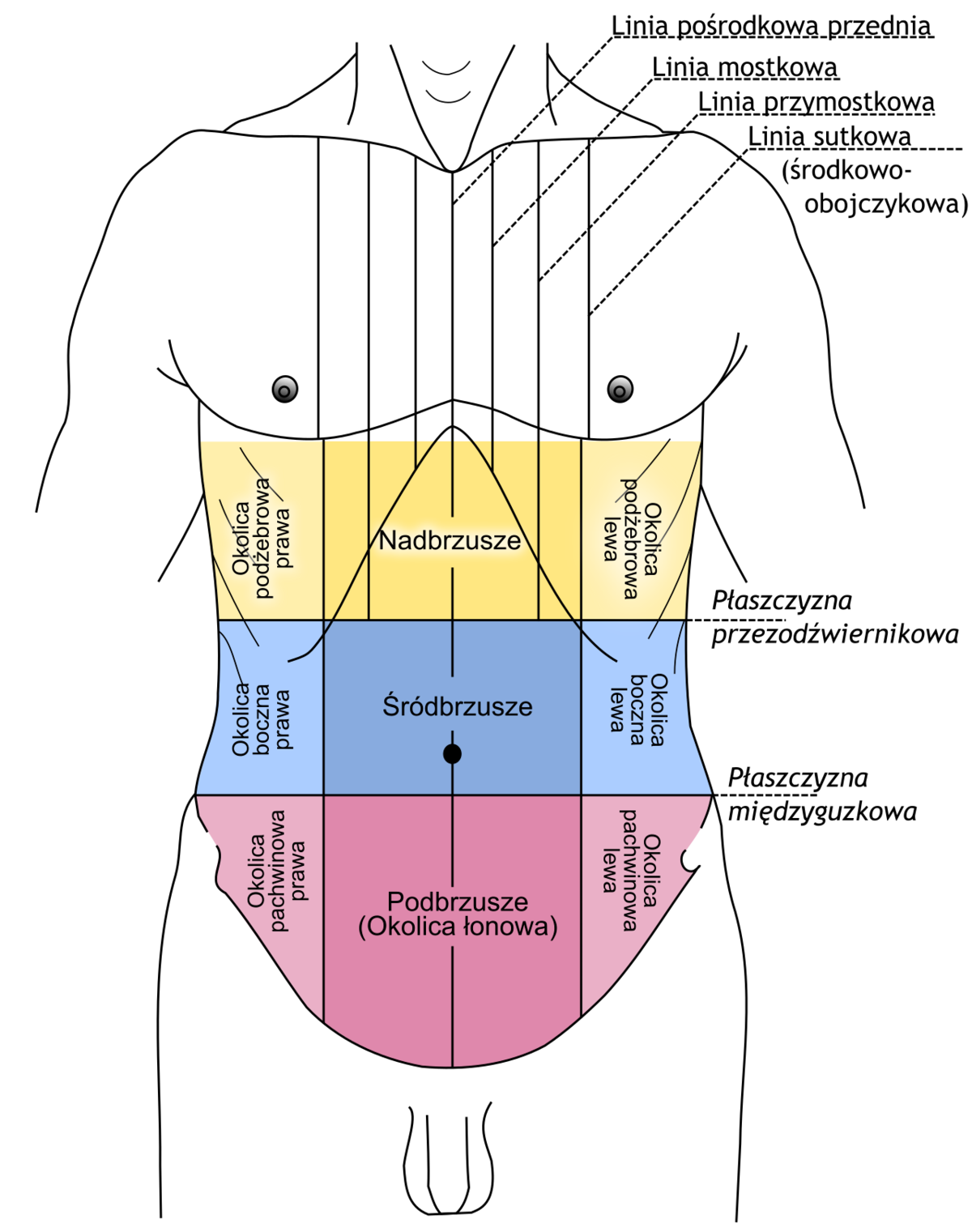 7588f4bf-b3fb-4b4b-a52d-6e208635a7b8