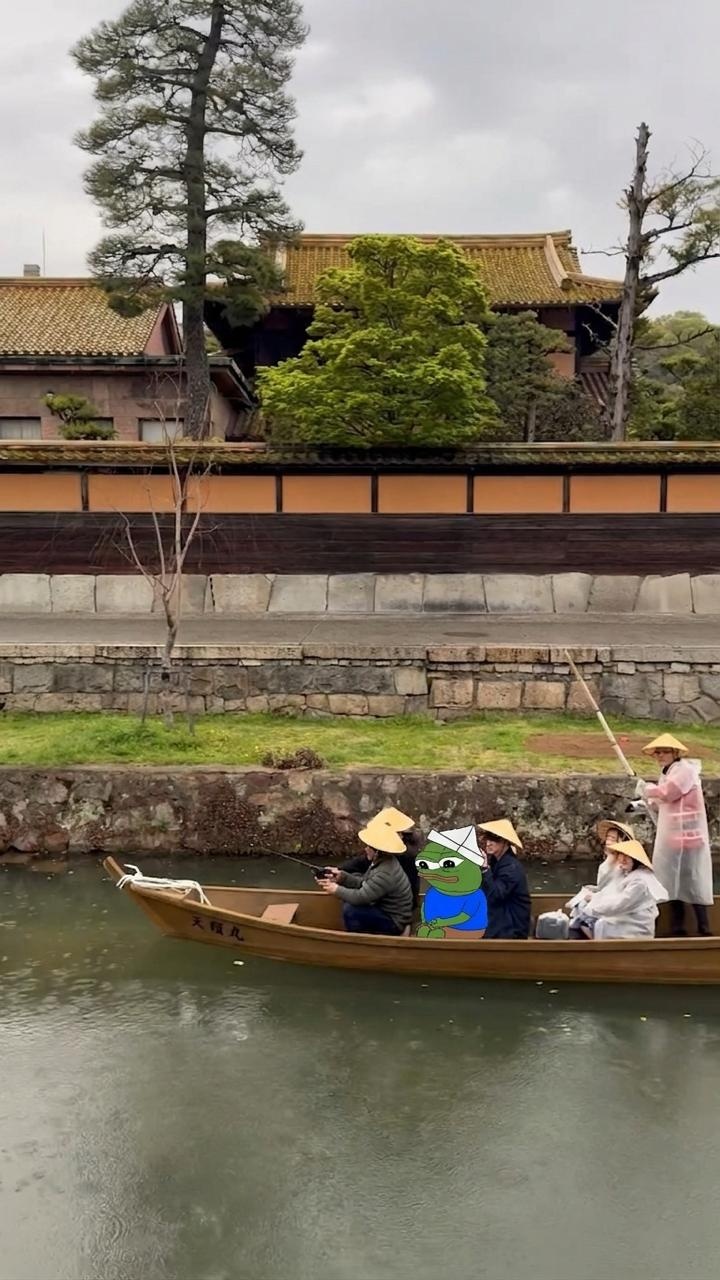 484a80df-4b46-4ec9-a23d-61116bc6d446