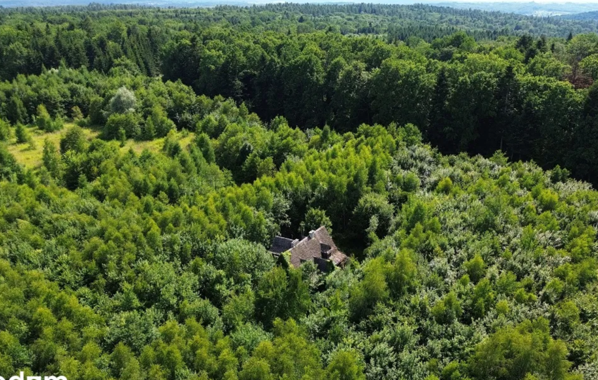 3c7cd8c5-719e-4a75-8f08-e52d9656cbe3