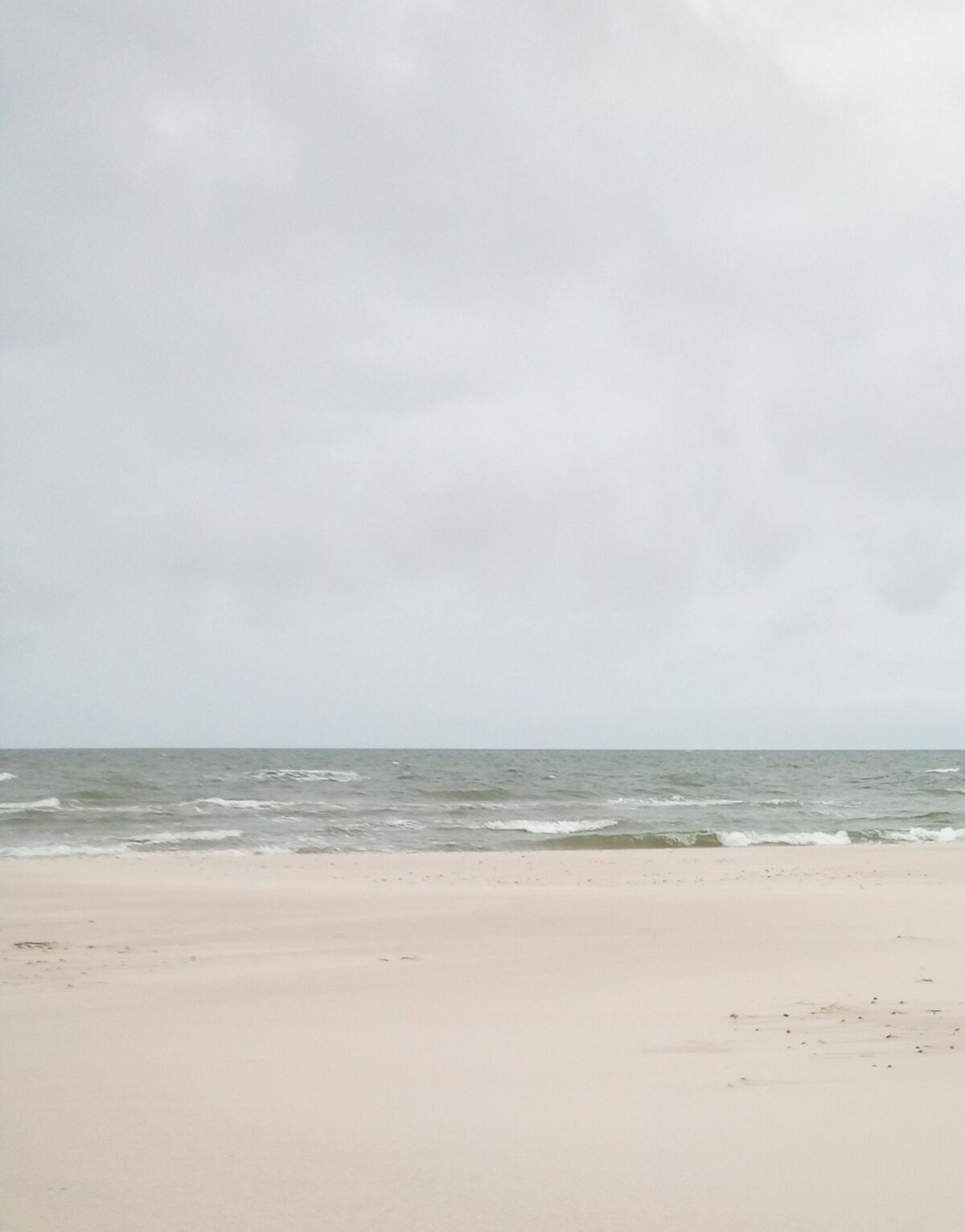 d0c6bbe5-cbfa-41d4-865b-4d80de9d7b1f