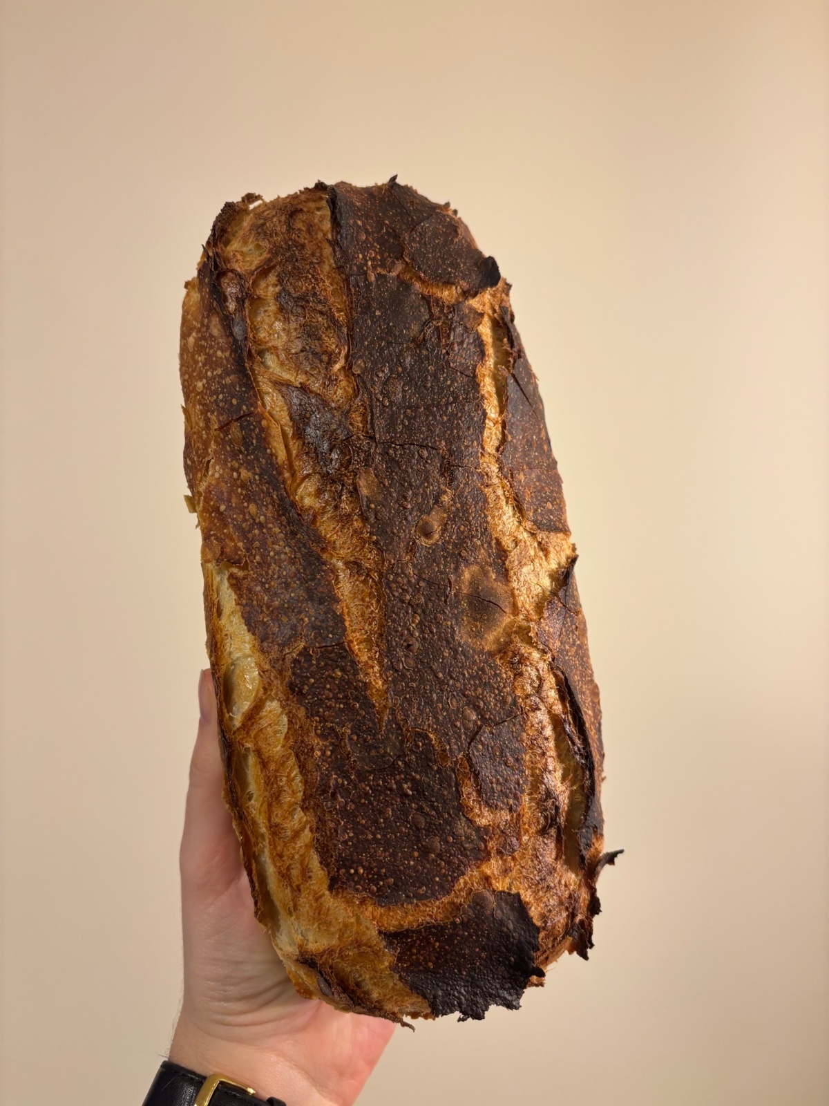 8e4549a3-894c-4f91-b657-f5d23c6972f2