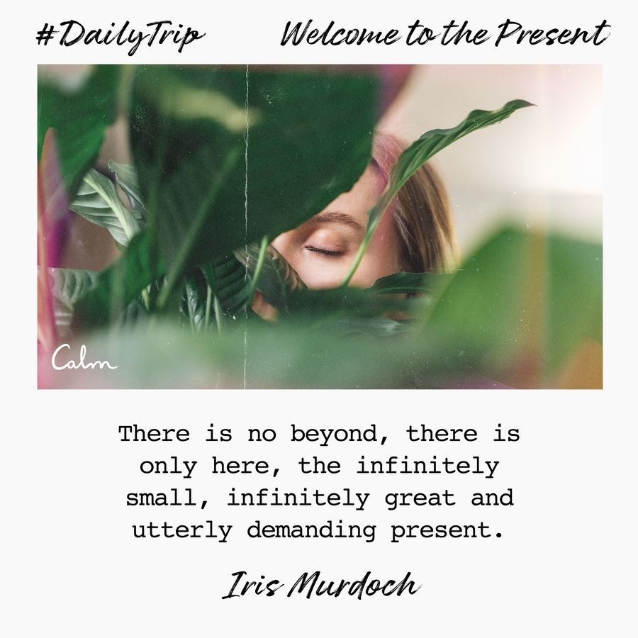 91c77d54-3b41-446a-a02e-36d01cbd99c5