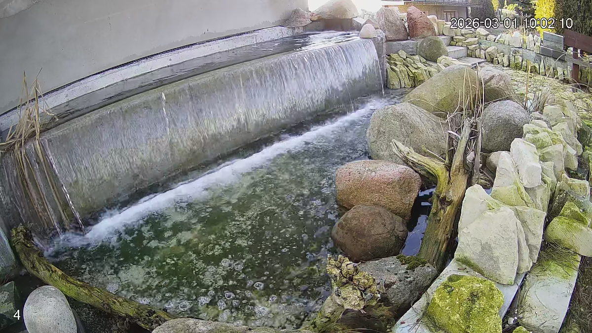 6910bf47-ae0c-41a5-98f9-b7d7f3a56629