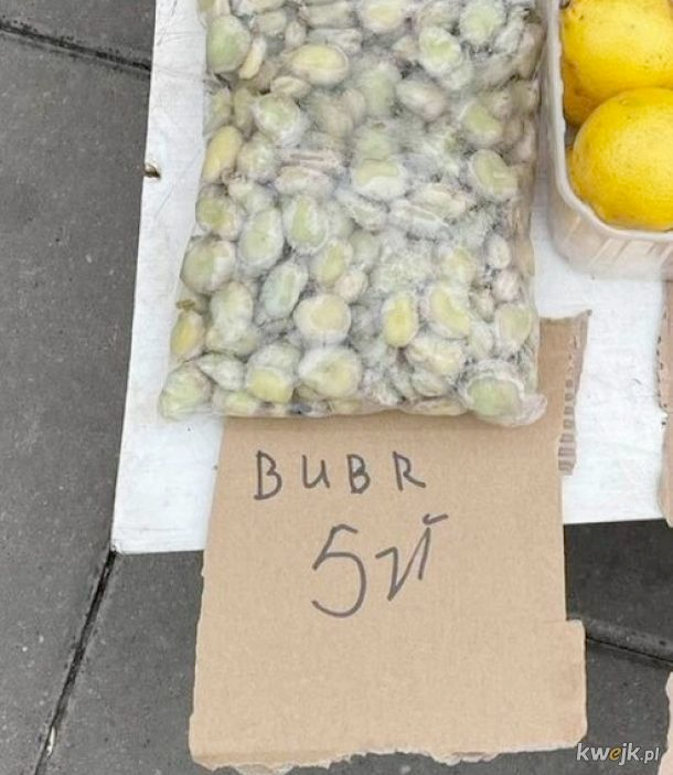 4073df8a-f2cc-4661-94a4-6d703db869c6