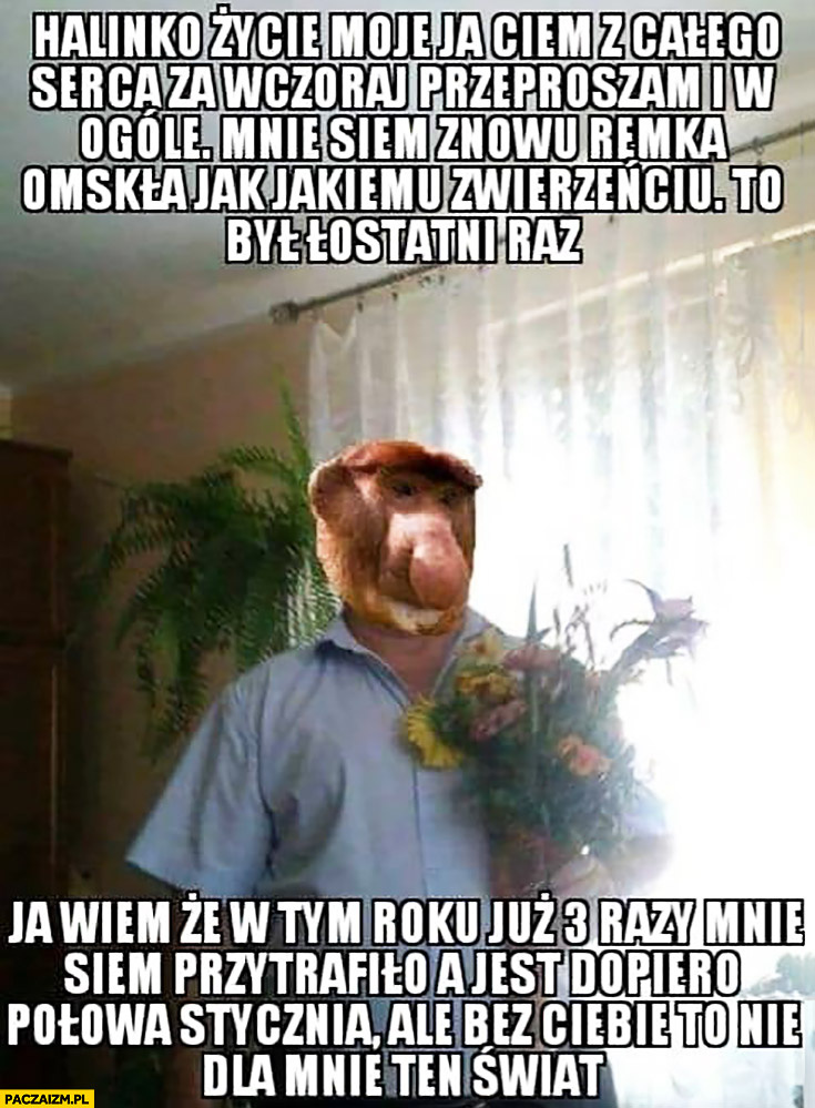 82e0a6a1-6c6f-4432-8b0d-6e46c4370a95