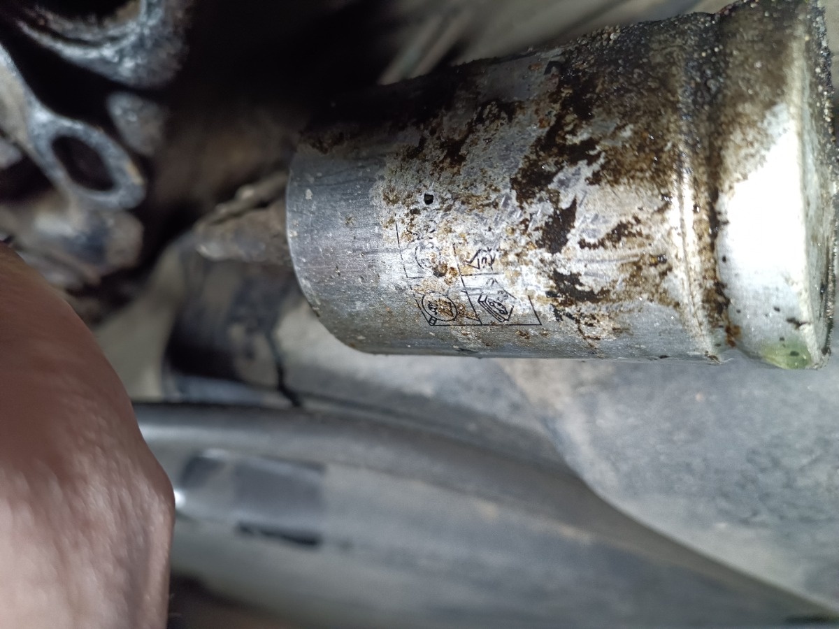 20f21024-9808-4f75-b26f-273bae76797d