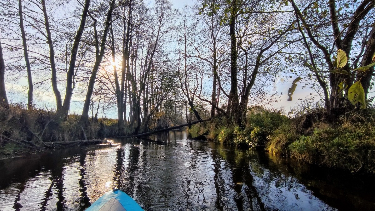 11e3b8d8-e127-4767-8842-04f42ea3ffdb