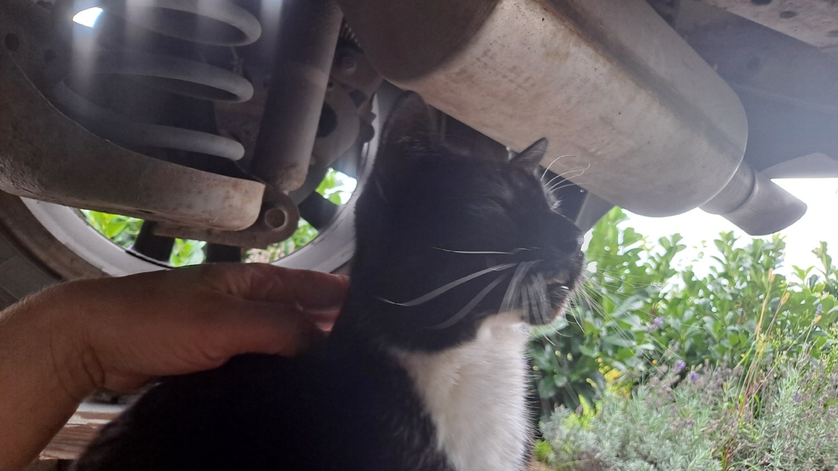 5ad9c756-9b76-4806-a5a7-fd4b3535f0e2