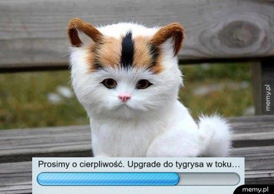 d778c7c9-2681-4a36-b1fa-2ff3cb3f3ac9