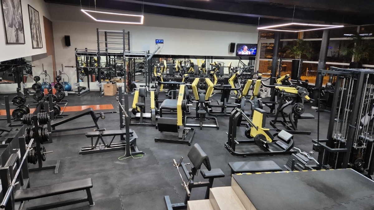 12f58638-ed0e-4c0f-9ba9-bed4b8443410