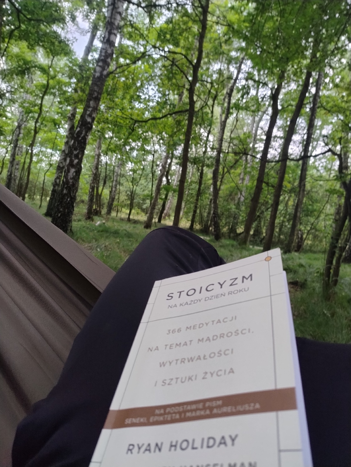 493d6766-086f-4c1e-8b9b-6b1915833644