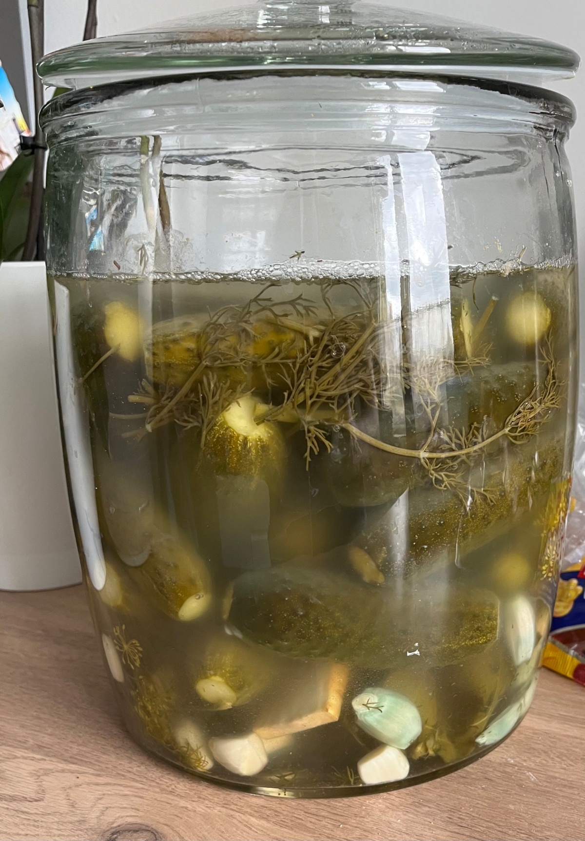 48afbf55-84cb-41f3-a152-3fd7252bb4b0