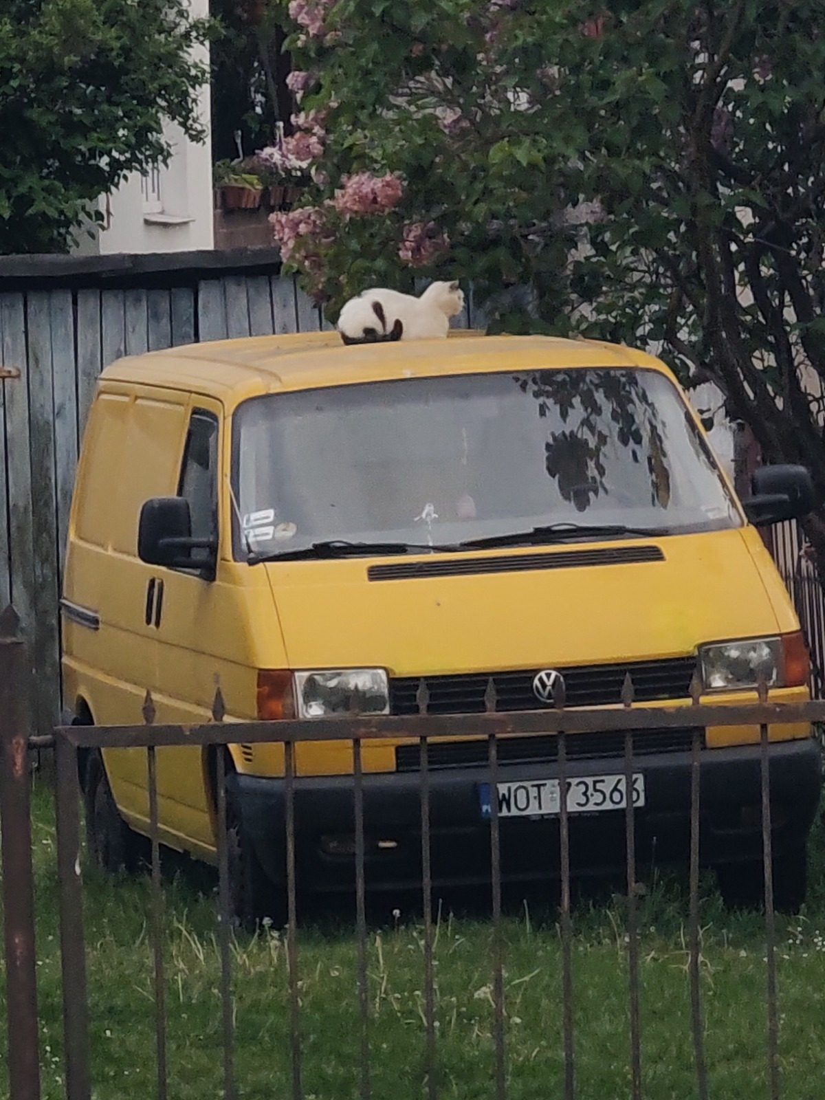 033c672b-17d1-429a-a0b4-d6f75865f342