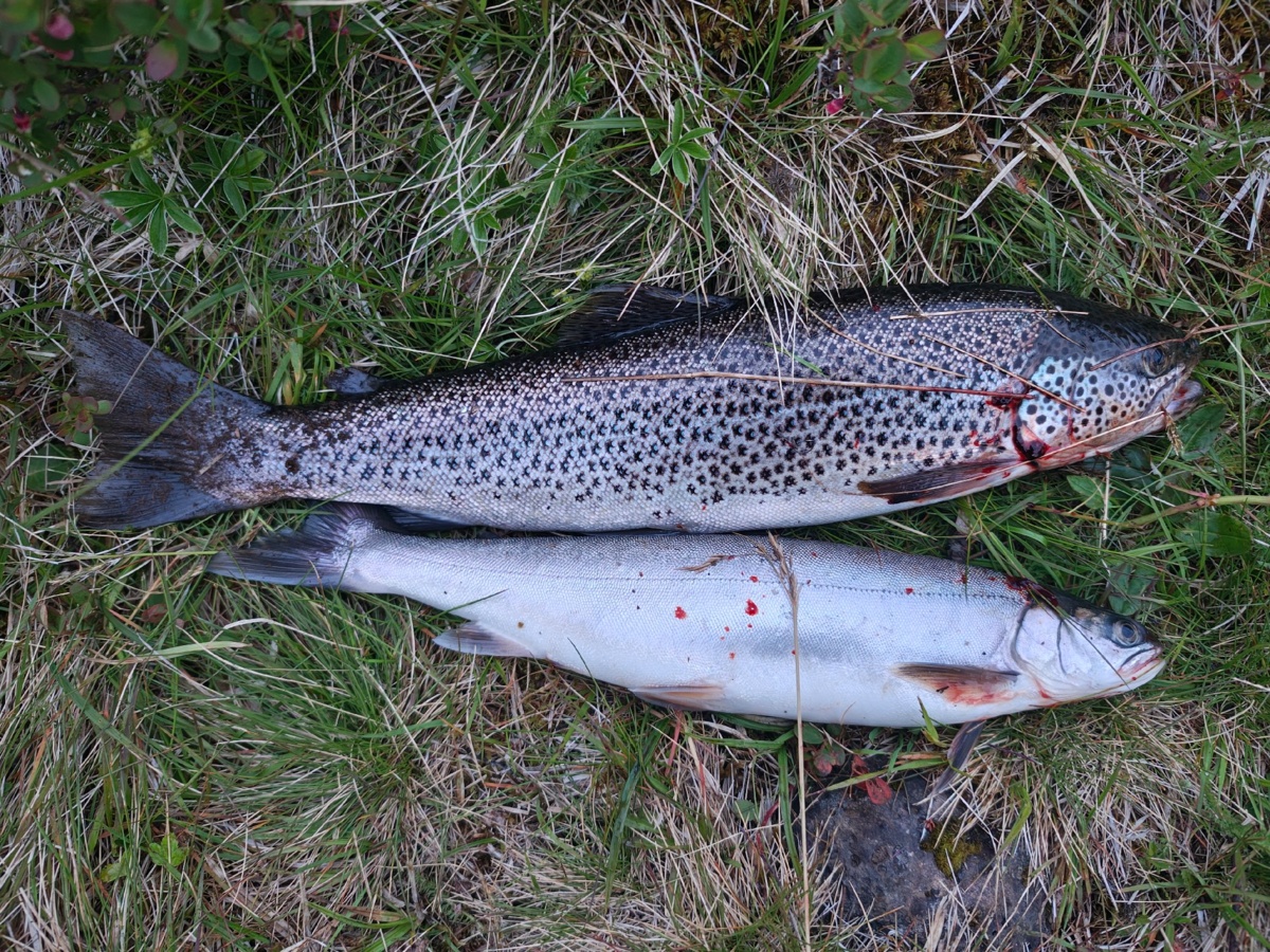 7cb5fc91-0c94-4b63-9b31-86d5f29c3a49