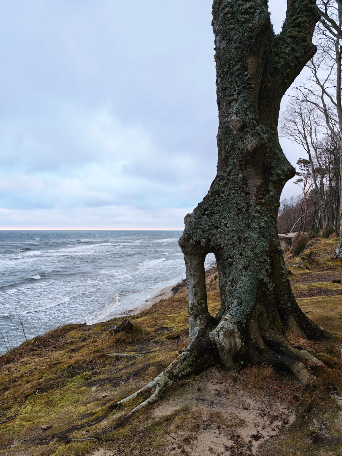 3bf85ec6-afe6-46a4-8044-dc2dbdf21adb