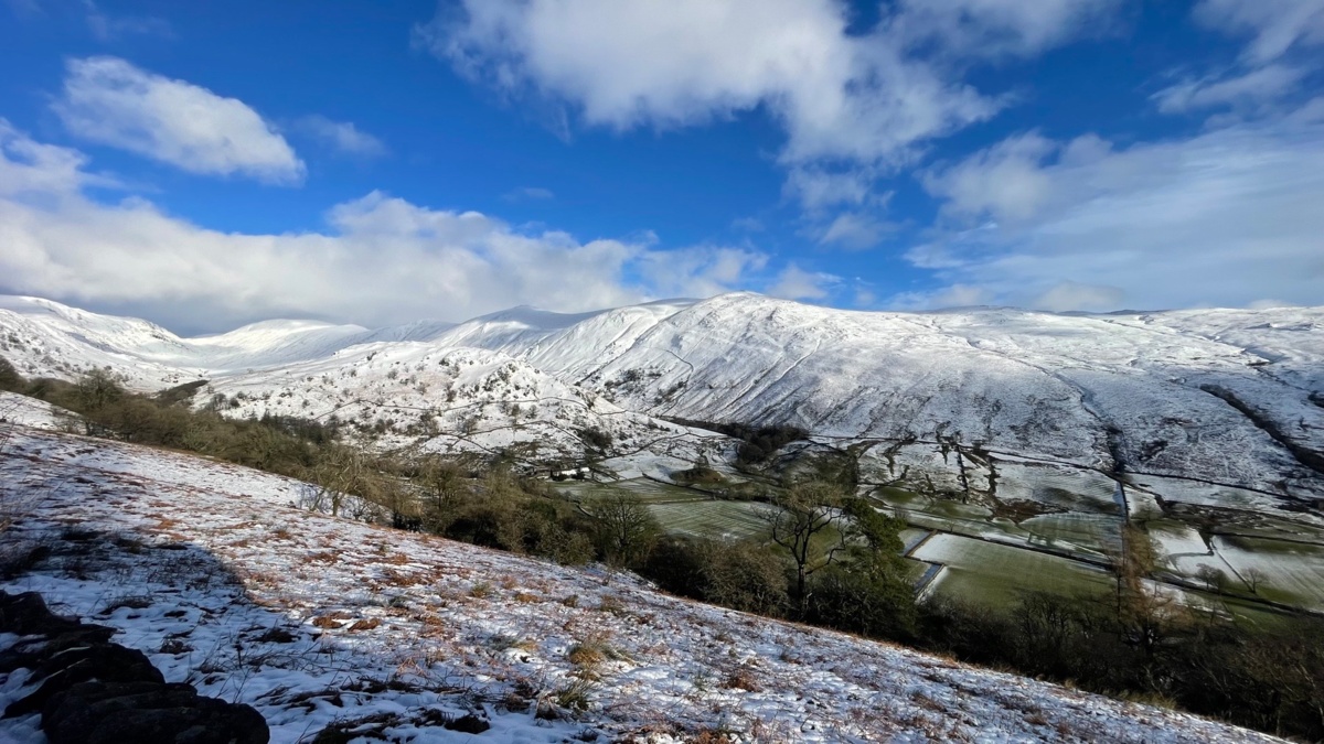 db0d0e4d-7c39-44b6-97b4-e46ae7c00819