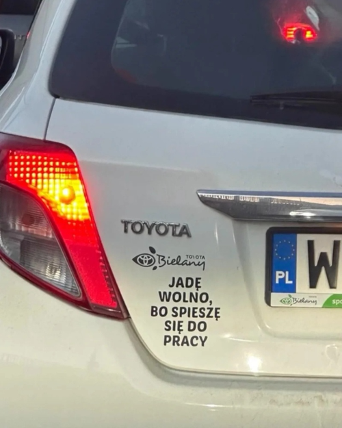 49979a22-7164-48e5-a83e-abf348866ff7