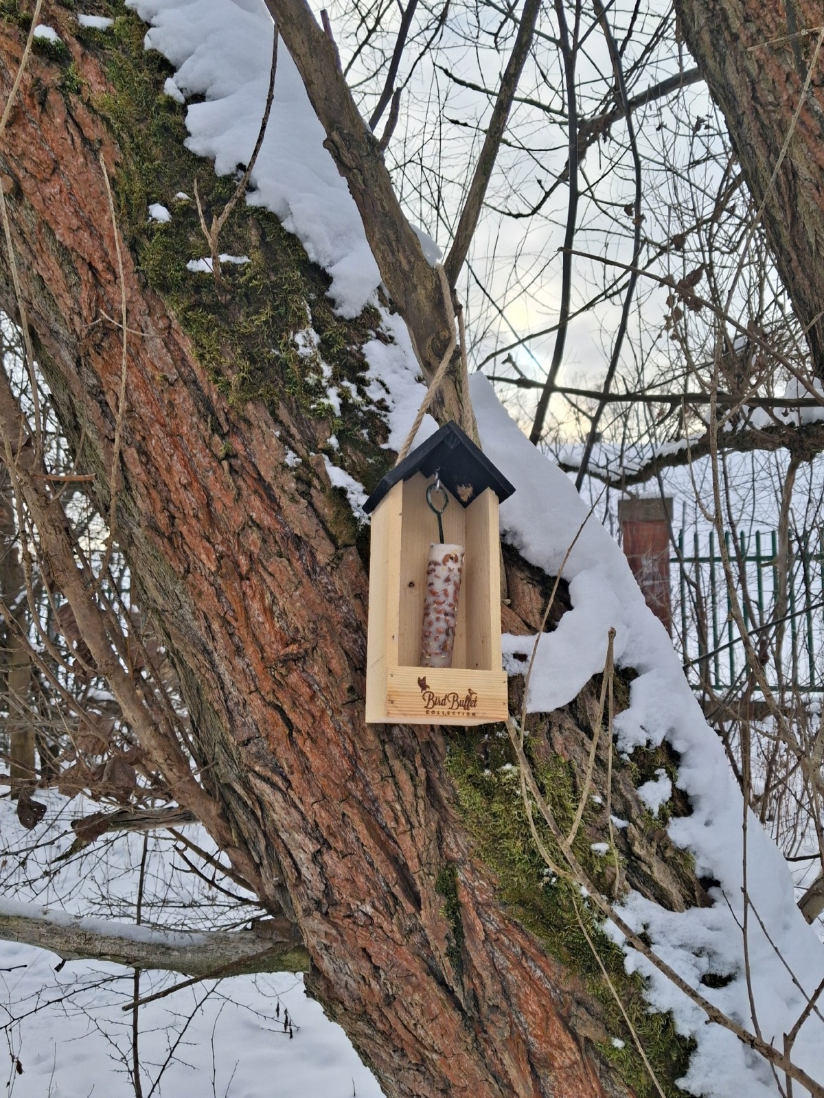 c99b454c-494b-4201-b2d4-4c9120bacaff