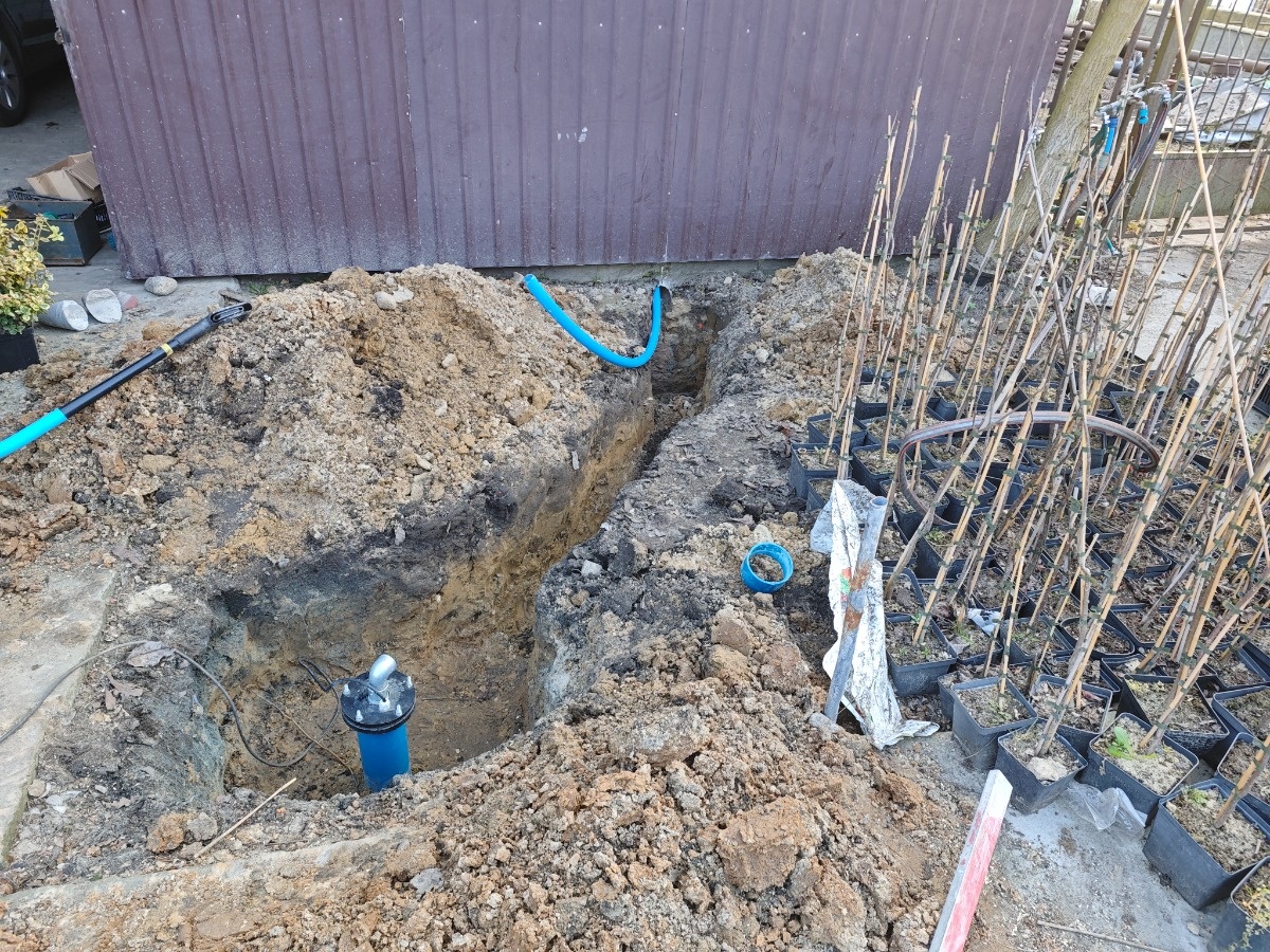 852b4d95-a3d7-4ea6-901c-9c442f549f30