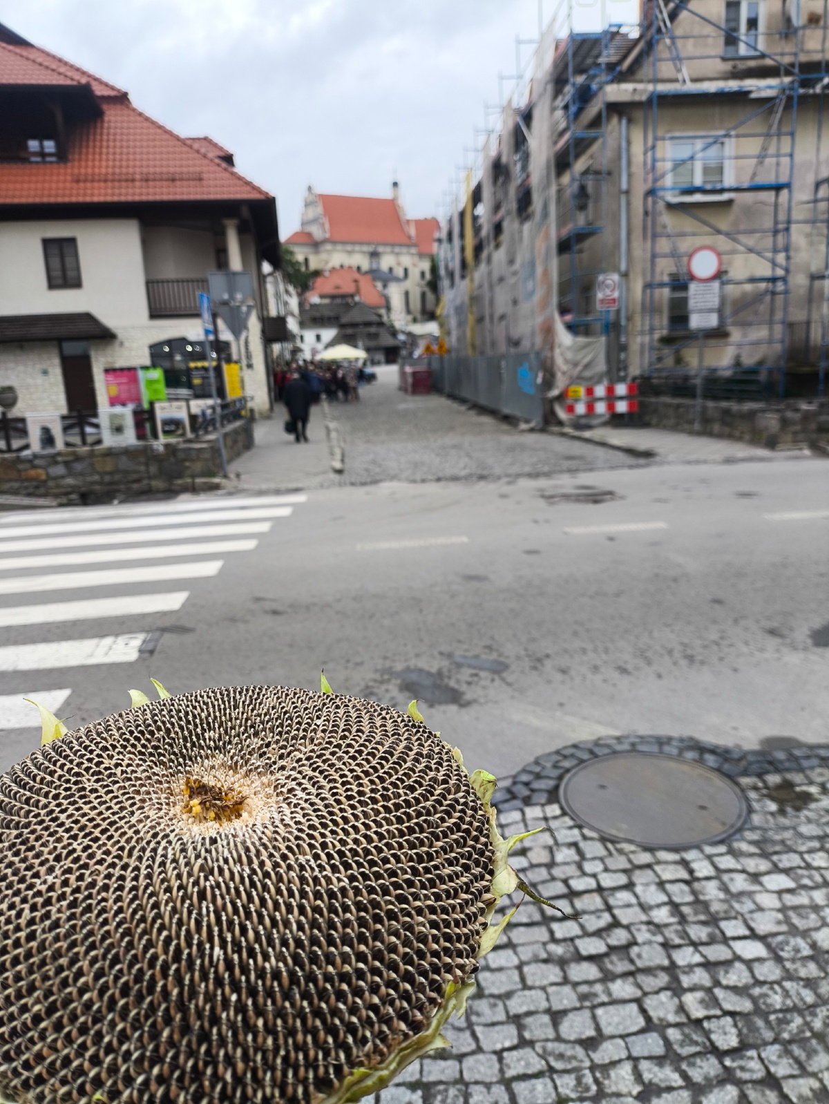 b200804f-e70c-4024-8d44-7cd2fb1ea3ad