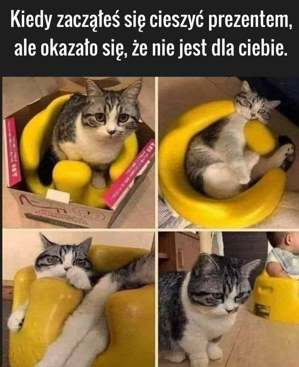 90fdb156-97ce-4cfd-b862-805ed7fd89db