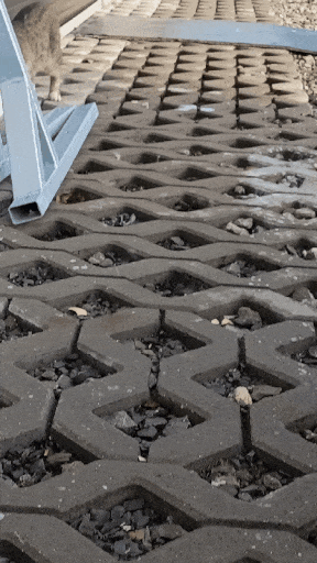 a361376c-b538-4db6-a65a-75fde6daa783