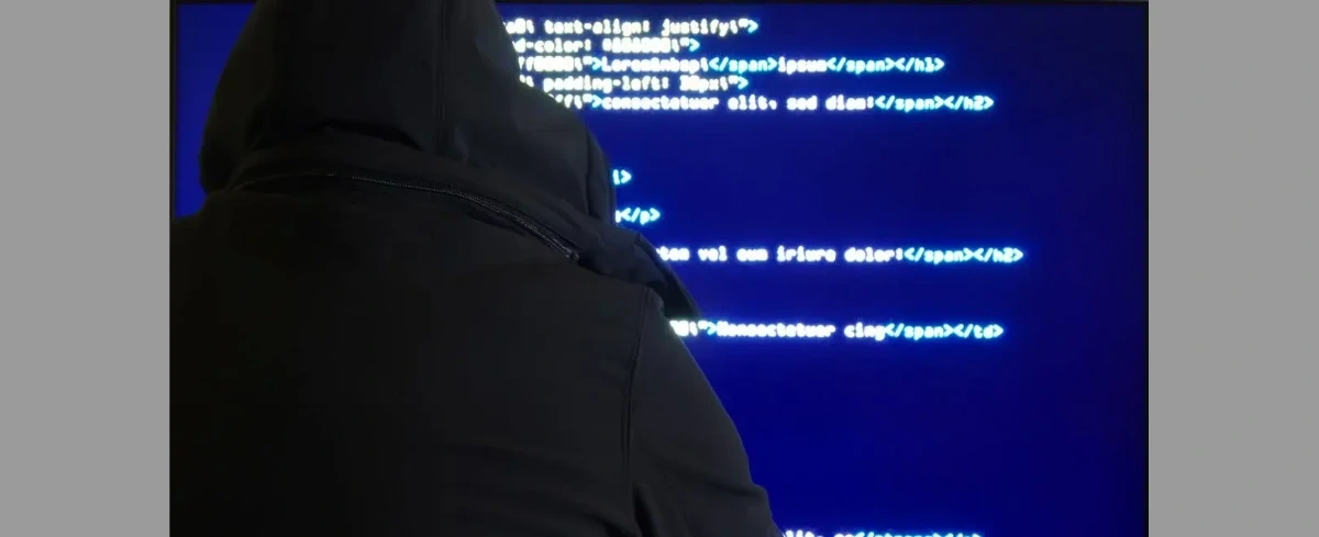 Wojsko ostrzega przed przestępczością w internecie. Oto, jak się bronić