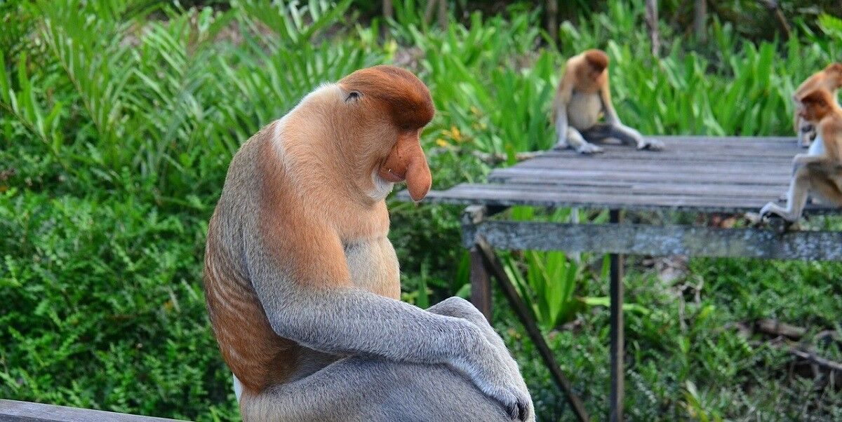 9da74f6e-c568-4fec-91ed-108699a39865