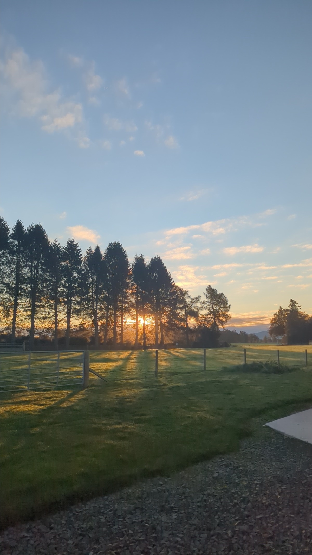 45c81bd4-b4cd-4206-bb12-16568427ef3c