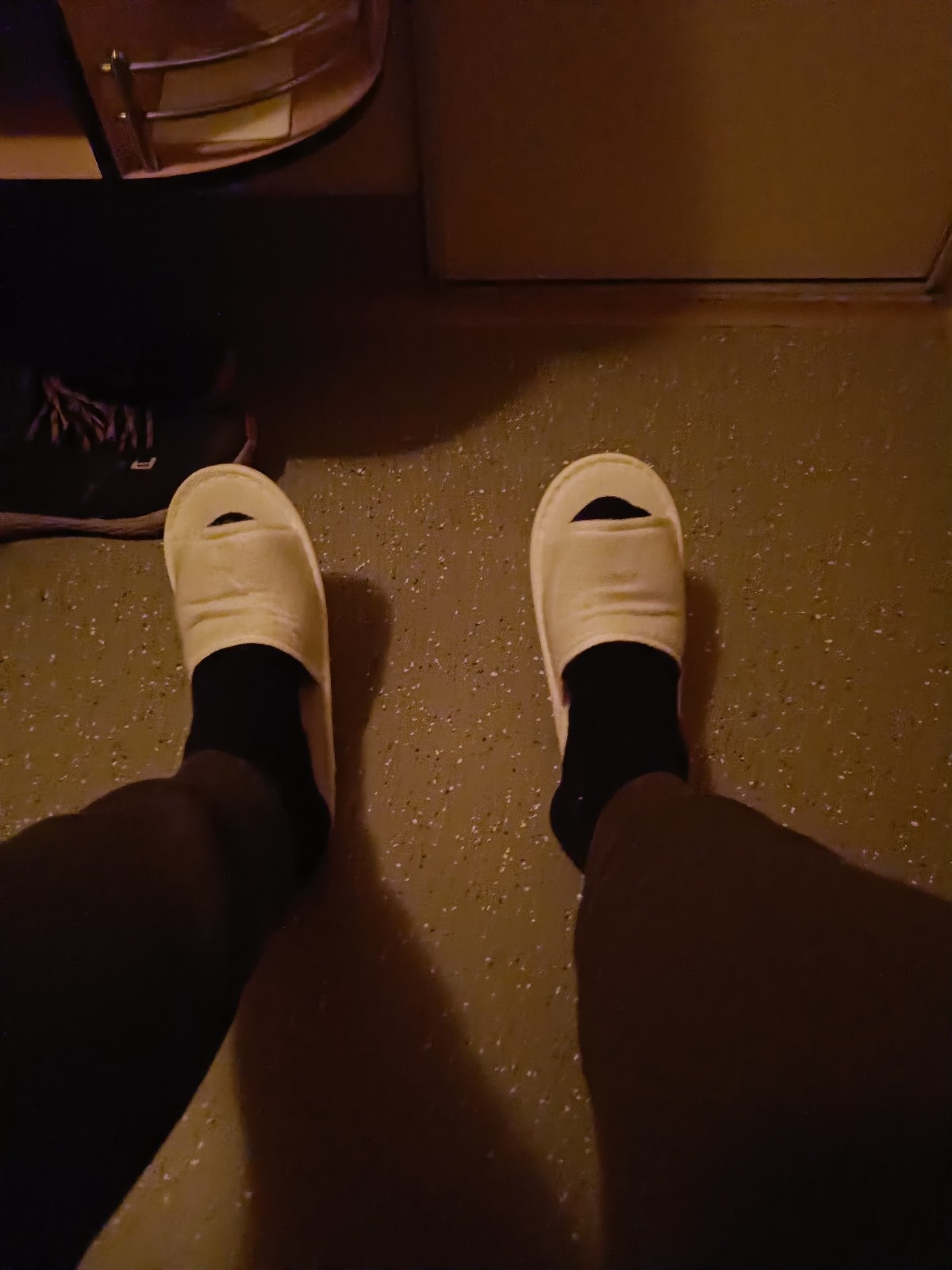 0323f6ec-d240-4790-bfa2-97b1c4266b6e