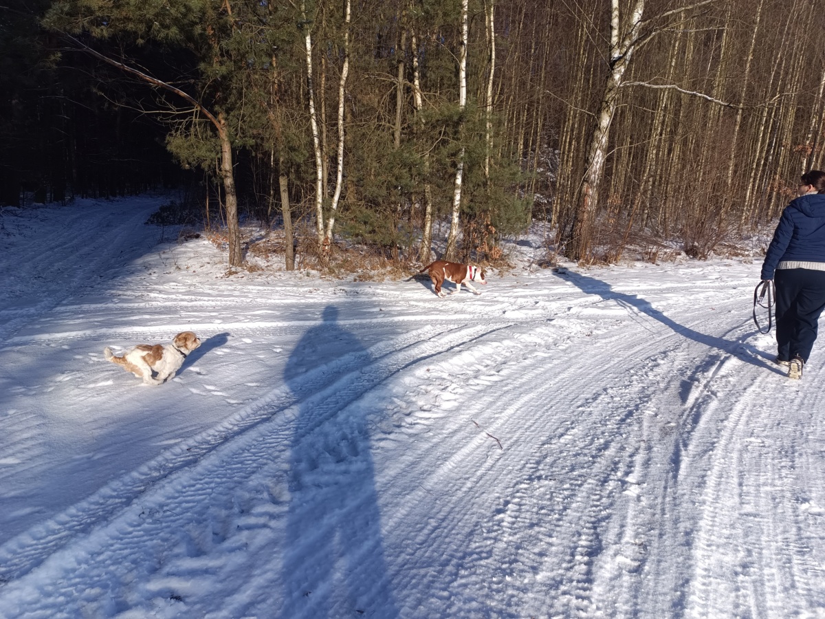 c2b8f4ee-700b-4085-9cc4-1e0ac3c65390