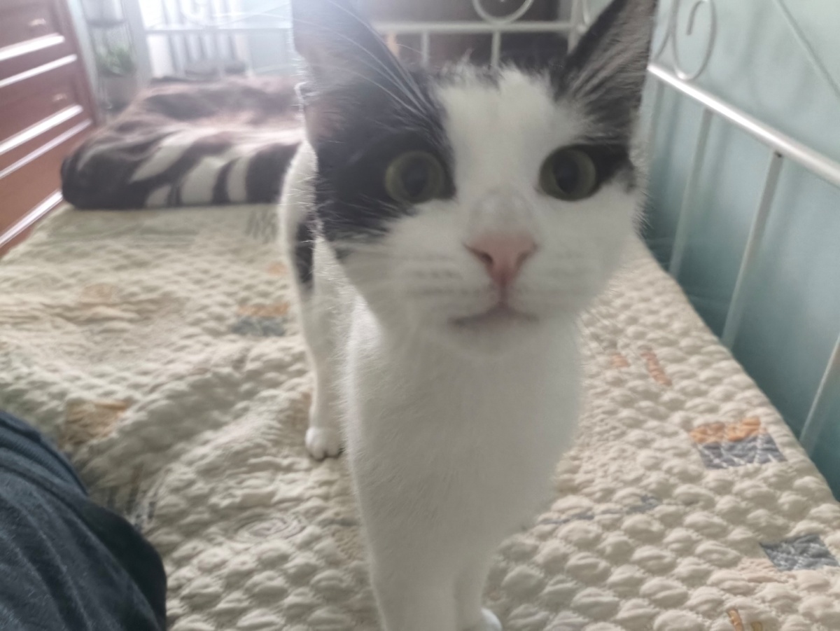 fd2723f1-c89c-43ee-9d72-56318b900626