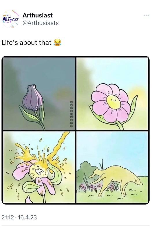 d96b8f71-0ca5-438b-903e-bceec139da25