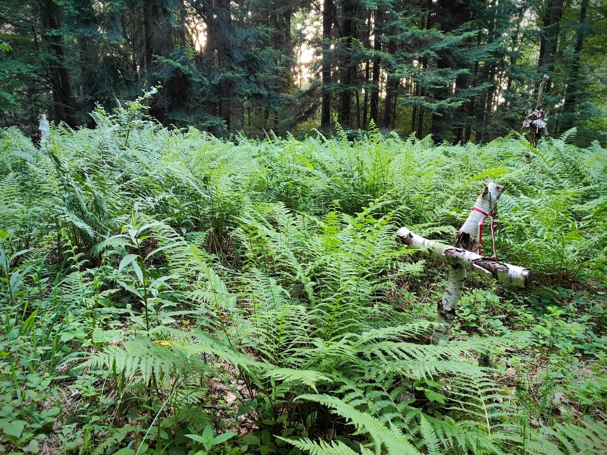 d34e250b-e856-467c-b590-fa6a87a486e1