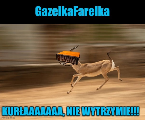 f1952dc1-8964-475f-8ee8-f1b8033b0a95