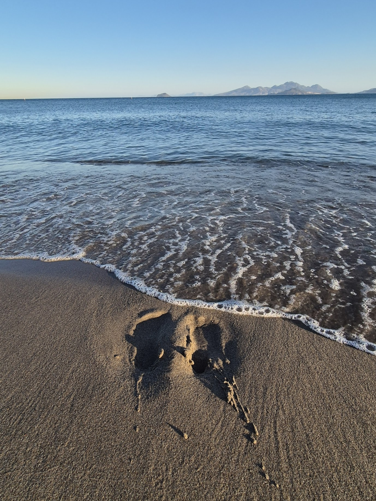 d31c06cb-5c40-4659-9a77-85a32ece4a4f