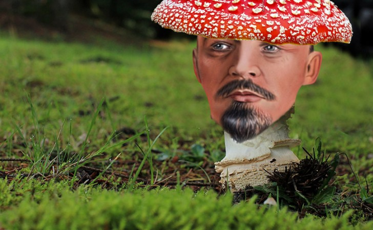 548b8515-34ed-45a6-8eb9-c724e9d45cff