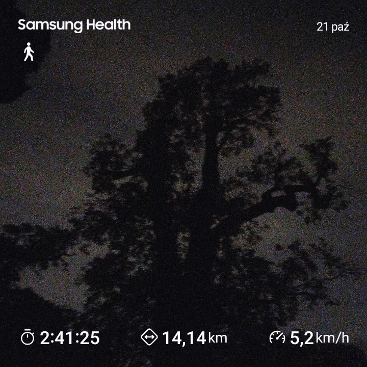 96126518-8df4-4a8c-975f-18b17e539f84