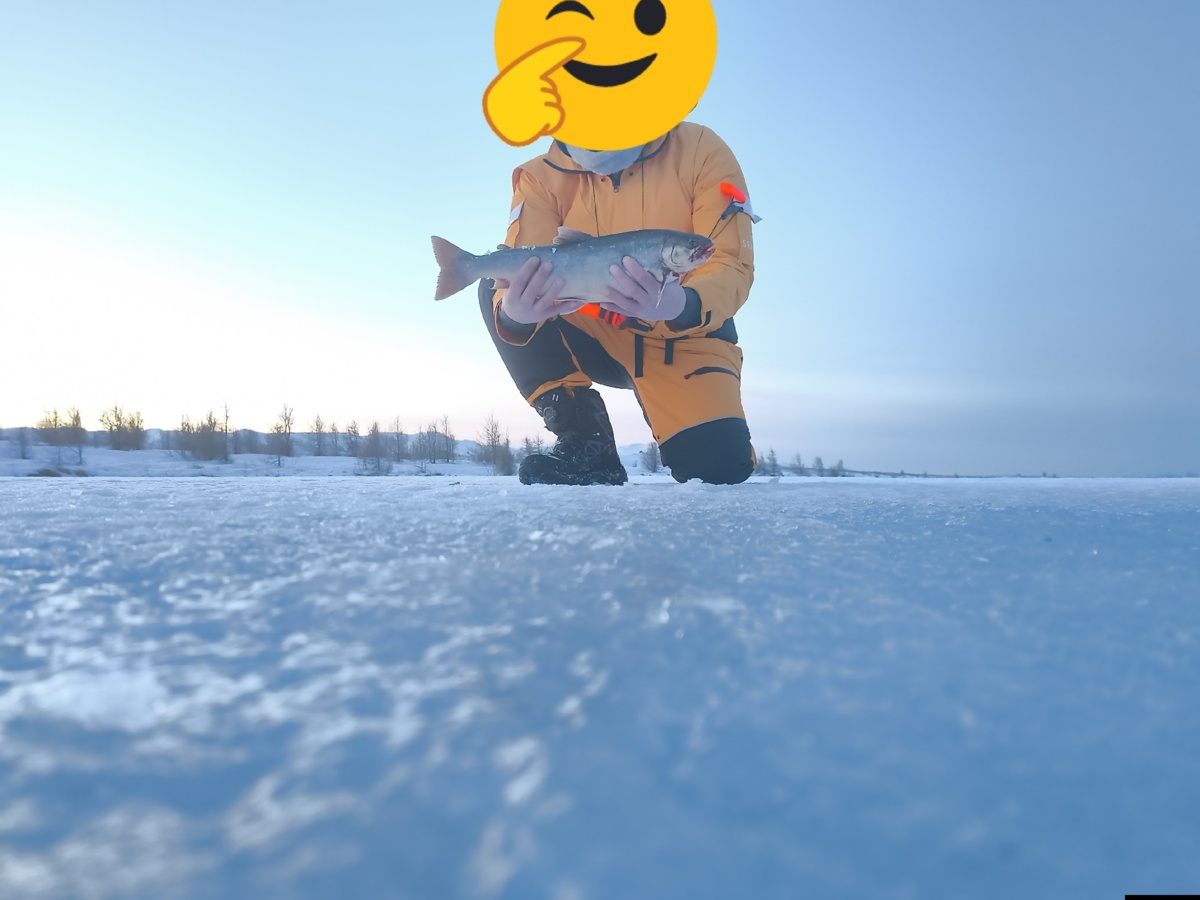 a94a5c54-a49a-4f80-8533-6d1c6f03f991