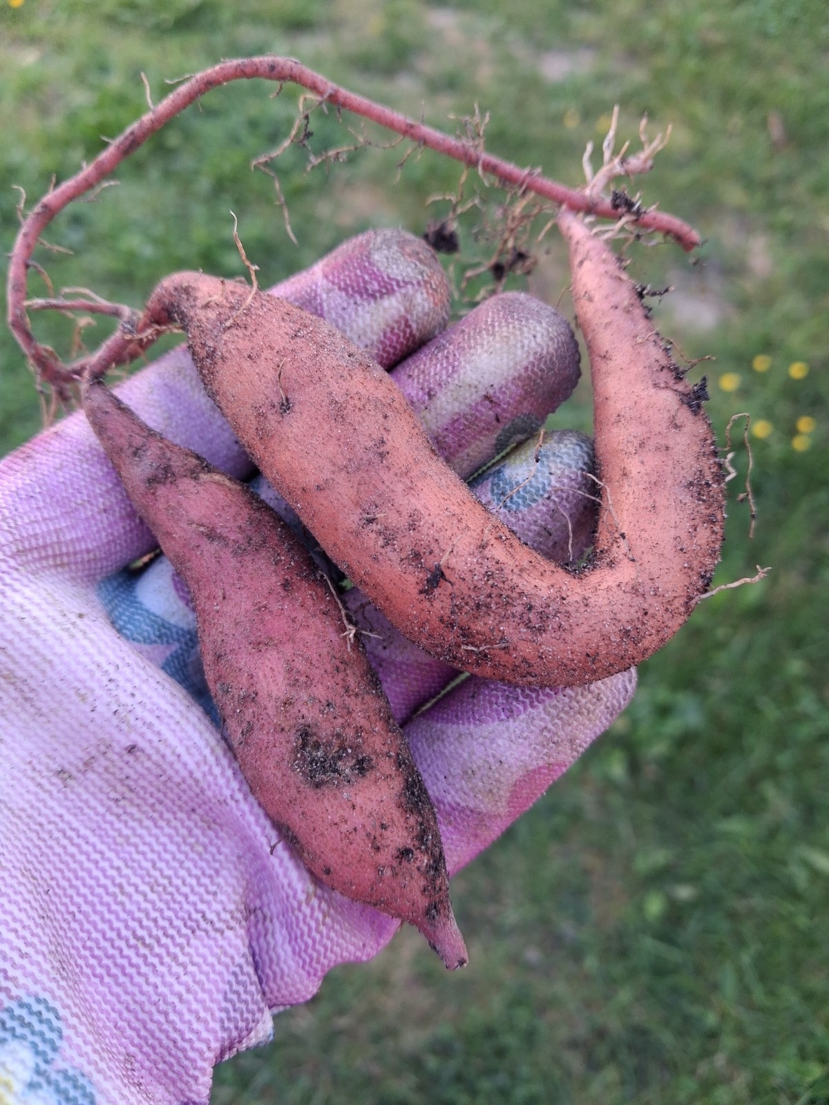 79cea576-9890-4434-8b80-9c7a5909be46