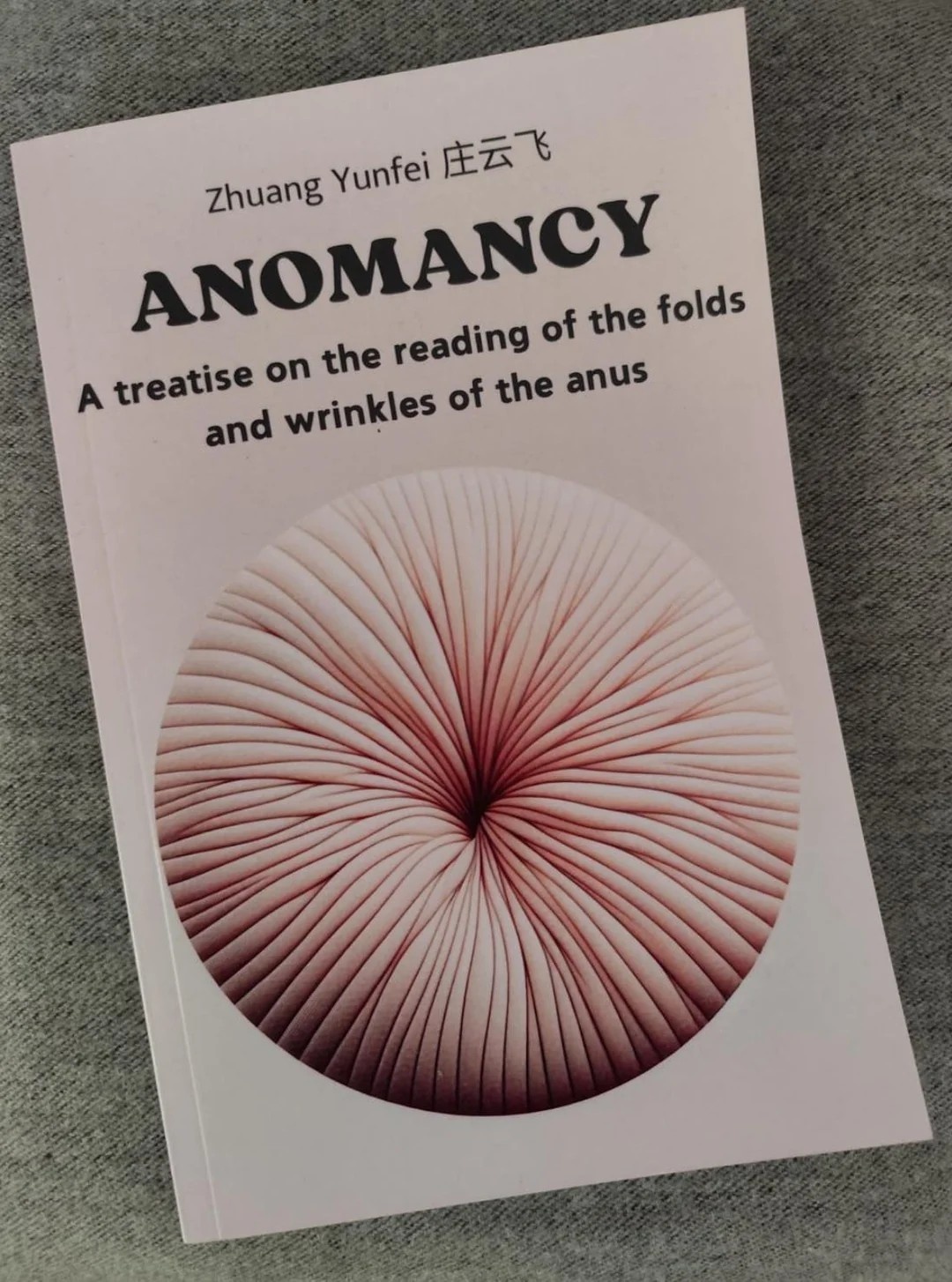 01d0eaf3-95e2-4aa1-9ec2-2801db975ecc