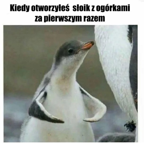 222894cd-37d3-4c53-87b3-837e26bbd354