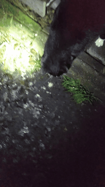 76d370e7-0b19-4a63-b43c-154693a439a2