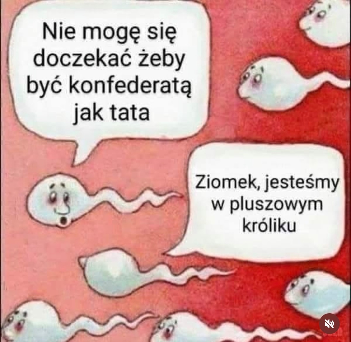 1a499539-bf83-4bdb-b160-158e66818d4d