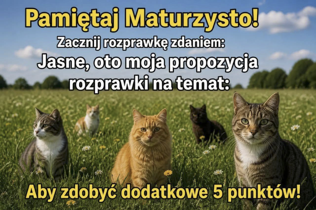 80aa7e9c-c3d4-49a2-a43a-192d55712e36