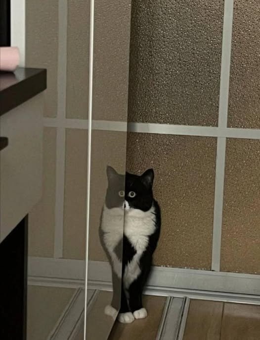 3a83f415-aa10-4f9b-91a7-247979068c11