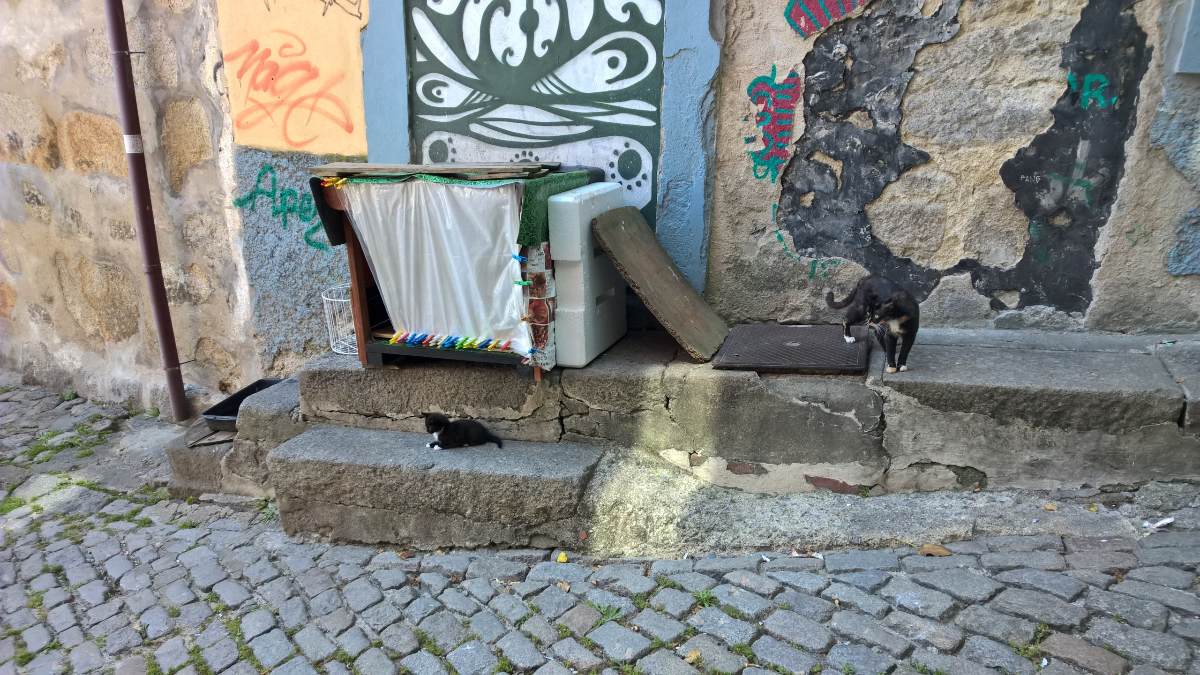 e611aef8-0e7a-4439-b2b5-e306b5db041f