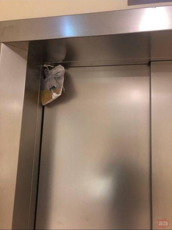 6939c481-d2eb-4d4a-865e-698edd9f8ee5