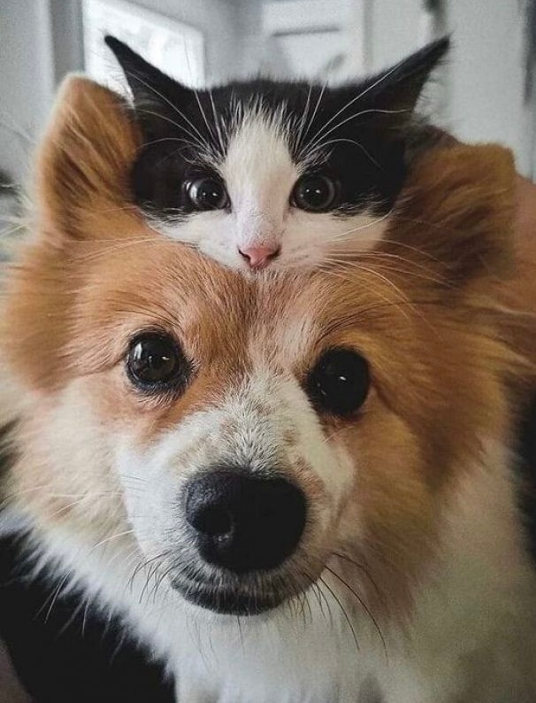 49a26e05-9f58-414c-8240-7d40fd827ab1