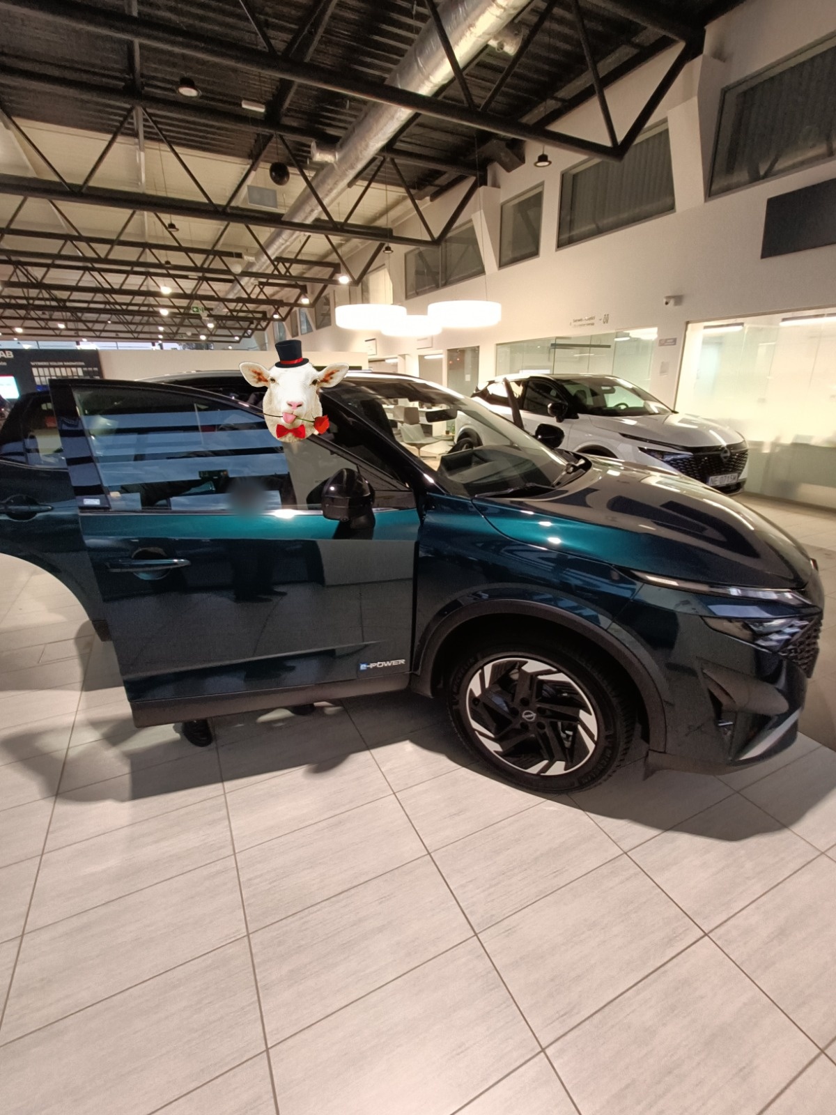 e7d7305a-0296-4593-a1d8-e8b3f007932c